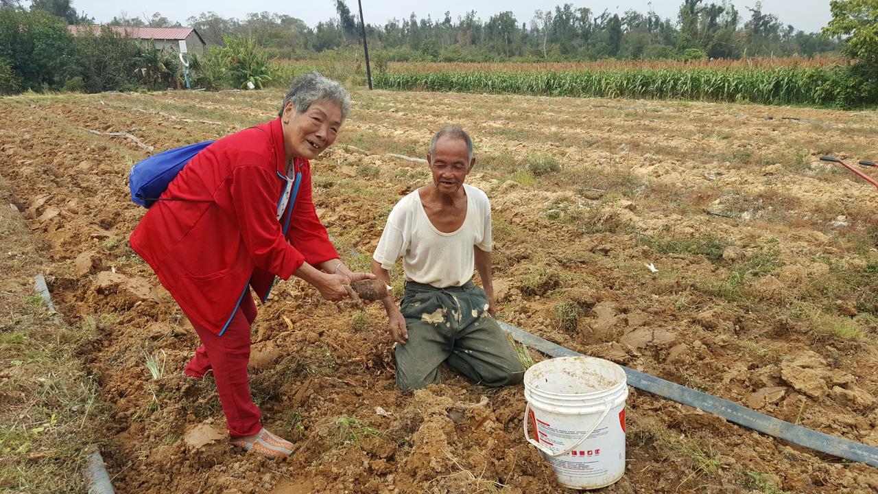 Qg Life 城中館 寵物親子釣魚人民宿 진청 외부 사진