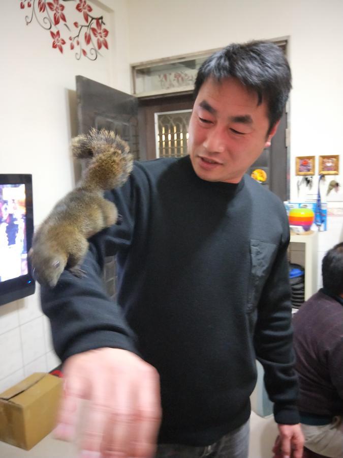 Qg Life 城中館 寵物親子釣魚人民宿 진청 외부 사진